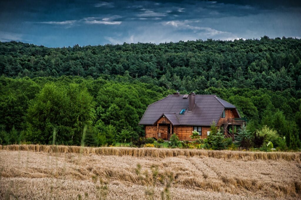 Exterior of cottage located near woodland with tall green trees and agricultural field with rye in suburb area in countryside
